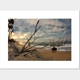 Edisto Island, South Carolina Posters and Art